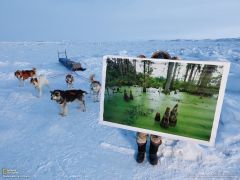 Tapeta National Geographic 204.jpg